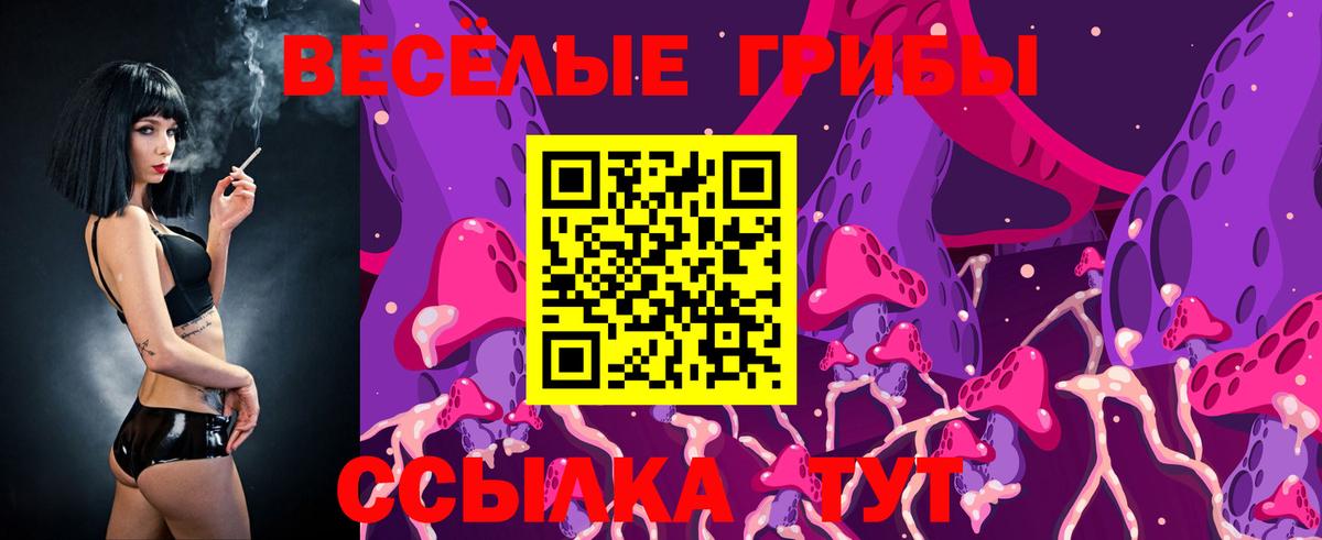 Галлюциногенные грибы MAGIC MUSHROOMS Ртищево